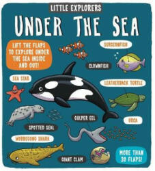 Little Explorers: Under the Sea - Dynamo Ltd (ISBN: 9781783708642)