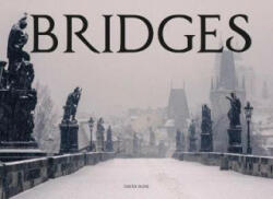 Bridges - David Ross (ISBN: 9781782745761)