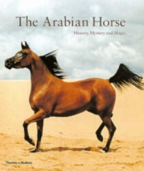 Arabian Horse - H. H. Sheikh Zaye al-Nahyan (2005)