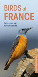 Birds of France - James Lowen (ISBN: 9781472949011)