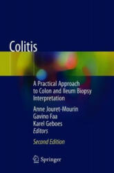 Colitis - Anne Jouret-Mourin, Gavino Faa, Karel Geboes (ISBN: 9783319895024)