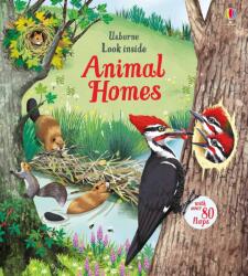 Look Inside Animal Homes (ISBN: 9781474942928)