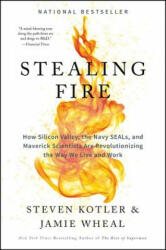 Stealing Fire - Steven Kotler, Jamie Wheal (ISBN: 9780062429650)