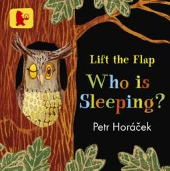 Who is Sleeping? (ISBN: 9781406377316)