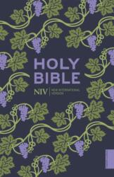 NIV Holy Bible (ISBN: 9781473618947)