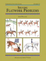 Solving Flatwork Problems - Jane Wallace (1998)
