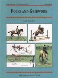 Poles and Gridwork - Jane Wallace (1998)