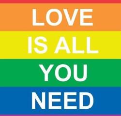 Love Is All You Need (ISBN: 9781449480073)