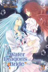 Water Dragon's Bride, Vol. 3 - Rei Toma (ISBN: 9781421592572)