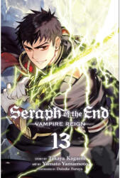 Seraph of the End, Vol. 13 - Takaya Kagami (ISBN: 9781421596518)