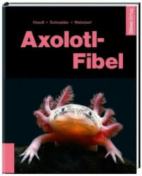 Axolotl-Fibel - Werner Hoedt, Maite Schneider, Friederike Weinzierl (ISBN: 9783944821153)