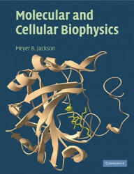 Molecular and Cellular Biophysics - Meyer B Jackson (ISBN: 9780521624701)