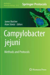 Campylobacter jejuni - James Butcher, Alain Stintzi (ISBN: 9781493965342)