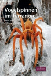 Vogelspinnen im Terrarium - Martin Meinhardt (ISBN: 9783866592339)