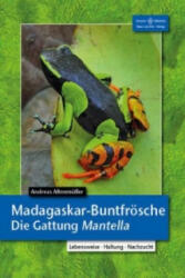 Madagaskar-Buntfrösche - Andreas Altenmüller (ISBN: 9783866592636)