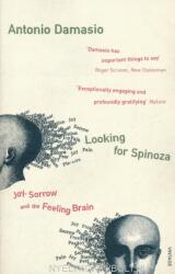 Looking For Spinoza (2004)