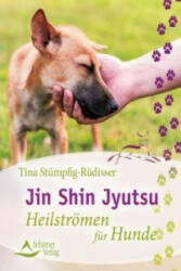 Jin Shin Jyutsu - Tina Stümpfig-Rüdisser (ISBN: 9783843412568)