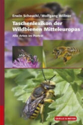 Taschenlexikon der Wildbienen Mitteleuropas - Erwin Scheuchl, Wolfgang Willner (ISBN: 9783494016535)