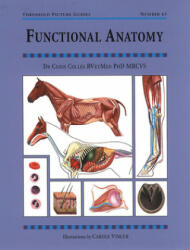 Functional Anatomy - Chris Colles (2002)