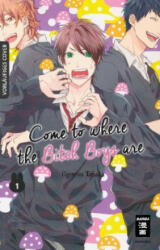 Come to where the Bitch Boys are 01 - Ogeretsu Tanaka, Monika Hammond (ISBN: 9783770495887)