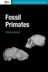 Fossil Primates - Susan Cachel (ISBN: 9780521183024)