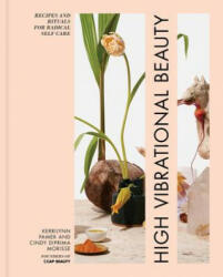 High Vibrational Beauty - Kerrilyn Pamer, Cindy Diprima (ISBN: 9781623369729)