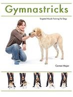Gymnastricks (ISBN: 9781910488423)