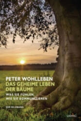 Das geheime Leben der Bäume (ISBN: 9783453280885)