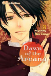 Dawn of the Arcana, Vol. 3 - Rei Toma (ISBN: 9781421541068)