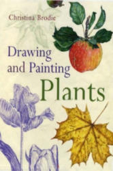 Drawing and Painting Plants - Christina Brodie (2006)