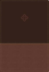 Amplified Study Bible Imitation Leather Brown Indexed (ISBN: 9780310444756)