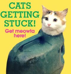Cats Getting Stuck! - No Author Details (ISBN: 9781785036309)