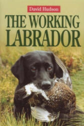 Working Labrador - David Hudson (2001)