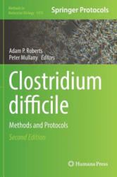 Clostridium difficile (ISBN: 9781493963591)