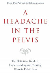 Headache in the Pelvis - Wise, David, PhD, Rodney Anderson (ISBN: 9781788171892)
