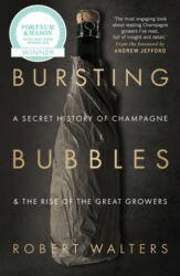 Bursting Bubbles - Robert Walters (ISBN: 9781846892790)