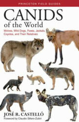 Canids of the World - Jose R. Castello (ISBN: 9780691176857)
