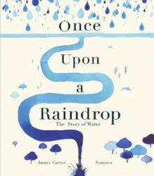 Once Upon a Raindrop - The Story of Water (ISBN: 9781848577145)