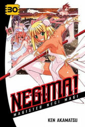 Negima! 30 - Ken Akamatsu (ISBN: 9781935429579)