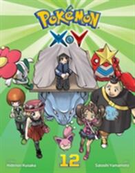 Pokemon X*Y, Vol. 12 (ISBN: 9781421596259)