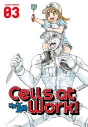 Cells At Work! 3 - Akane Shimizu (ISBN: 9781632363909)