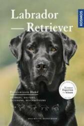 Labrador Retriever - Anja Möller, Astrid Braun (ISBN: 9783440149355)