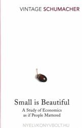 Small Is Beautiful - E. F. Schumacher (1993)