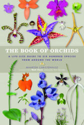 Book of Orchids - Maarten Christenhusz (ISBN: 9781782404033)