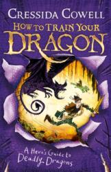 How to Train Your Dragon: A Hero's Guide to Deadly Dragons (2010)