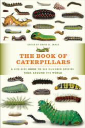 The Book of Caterpillars: A Life-Size Guide to Six Hundred Species from Around the World - David W. James (ISBN: 9780226287362)