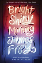 Bright Shiny Morning - James Frey (2011)