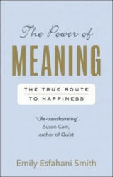 Power of Meaning - The true route to happiness (ISBN: 9781846044656)