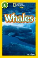 Whales - Level 4 (ISBN: 9780008266820)