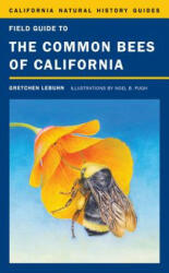 Field Guide to the Common Bees of California - Gretchen LeBuhn (ISBN: 9780520272842)